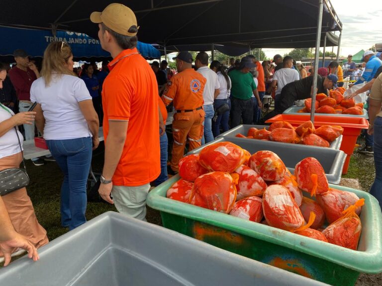 Más de 2,000 personas participaron en la Naviferia realizada en Bajo Boquete