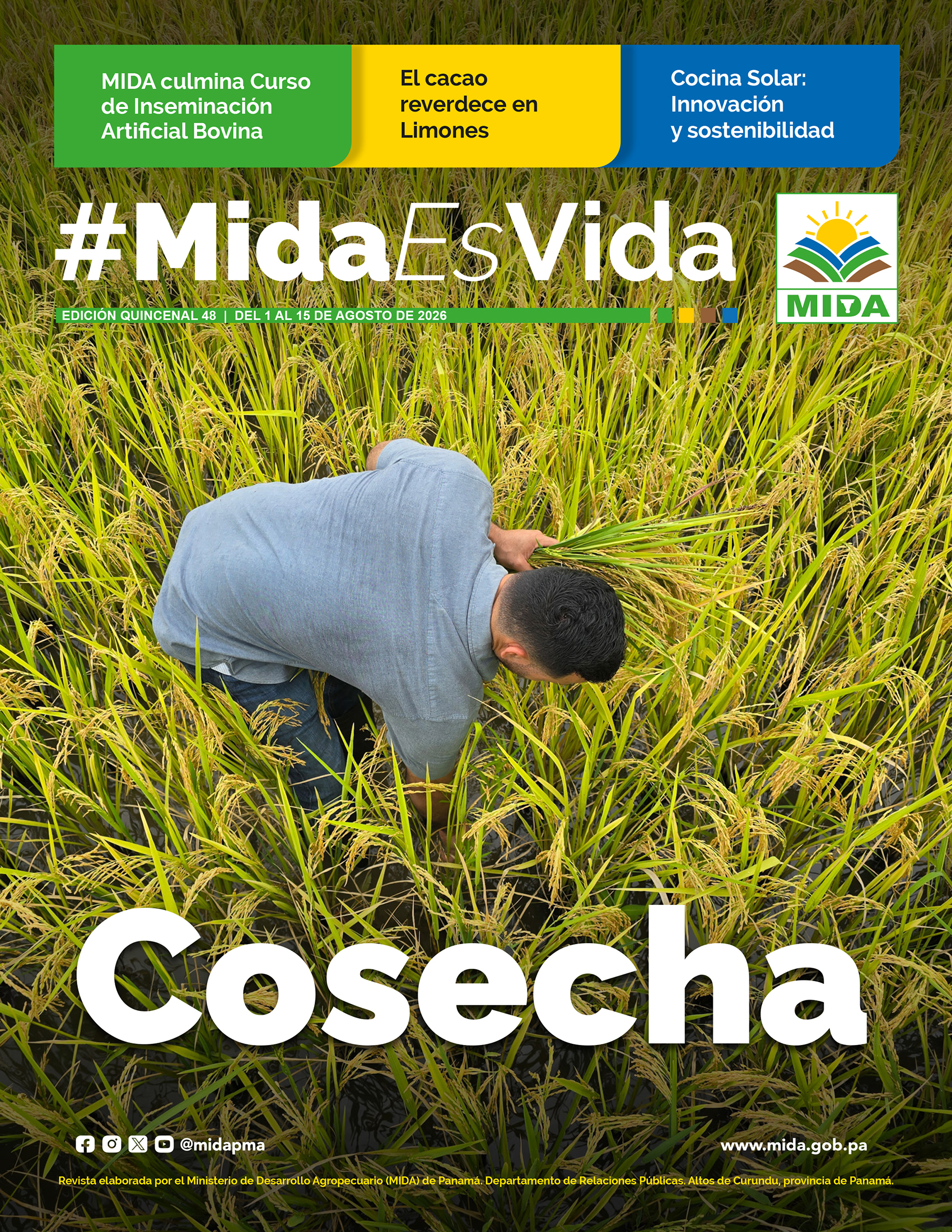 Revista MIDA ES VIDA